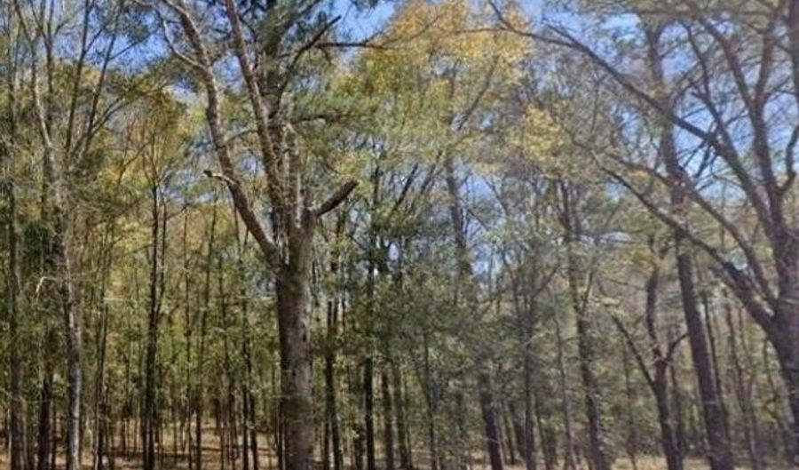 Ferrell Rd, Andalusia, AL 36421 - 0 Beds, 0 Bath