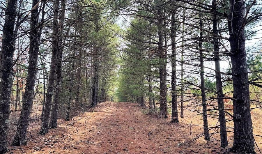 10 Acres County Road C, Arkdale, WI 54613 - 0 Beds, 0 Bath