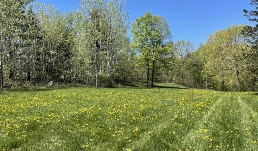 Forrest Road, Bridport, VT 05734 - 0 Beds, 0 Bath