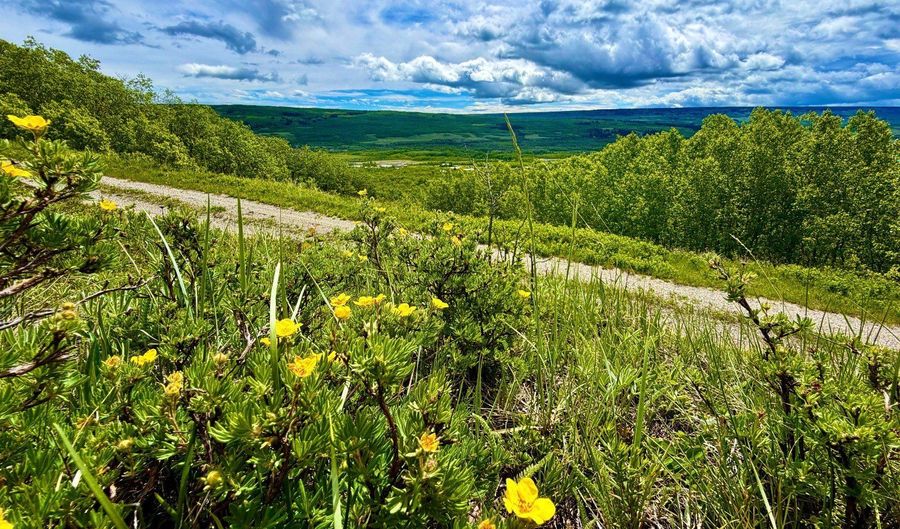 Lot 8 Arlie Tract, Babb, MT 59411 - 0 Beds, 0 Bath
