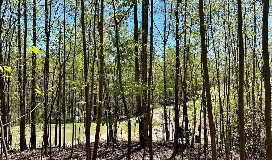 Lot 238 Chickasaw Point, Westminster, SC 29693 - 0 Beds, 0 Bath