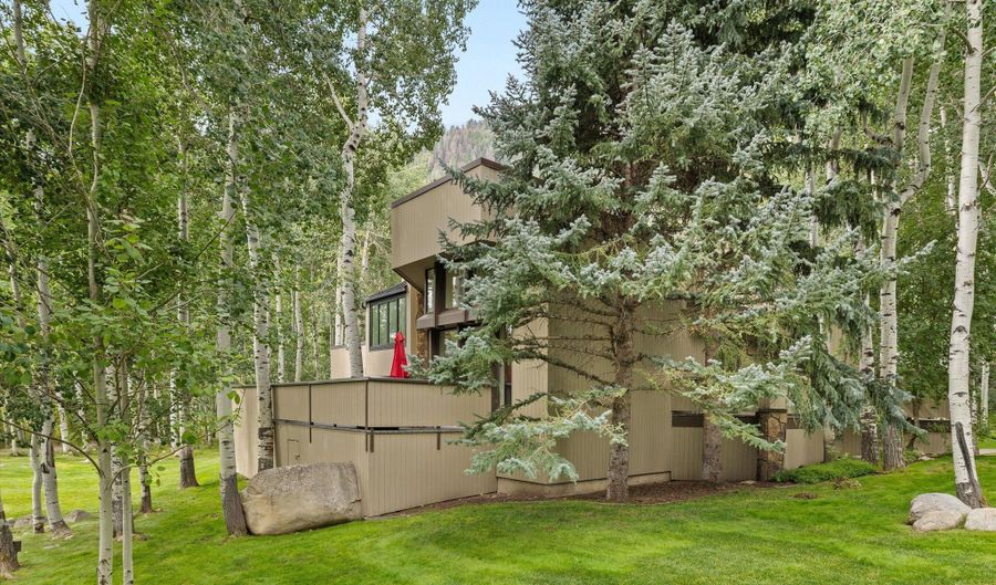 1443 Crystal Lake Rd 3E, Aspen, CO 81611 - 3 Beds, 3 Bath