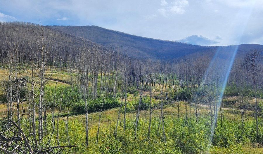 0 Crystal Mountain Rd, Bellvue, CO 80512 - 0 Beds, 0 Bath