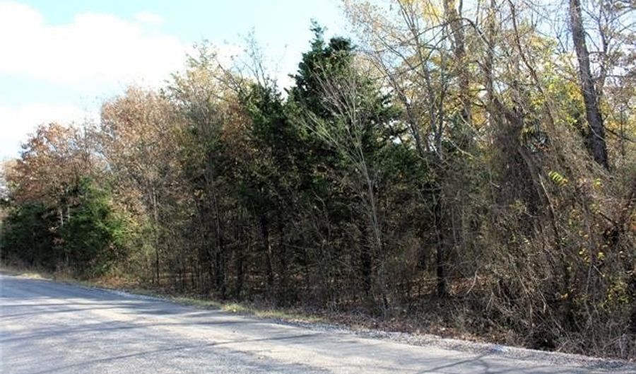 Red Lake Road, Albany, OK 74726 - 0 Beds, 0 Bath