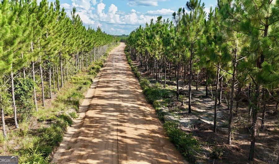 TRACTS 10 AND 1 Penny Morris Road, Baxley, GA 31513 - 0 Beds, 0 Bath