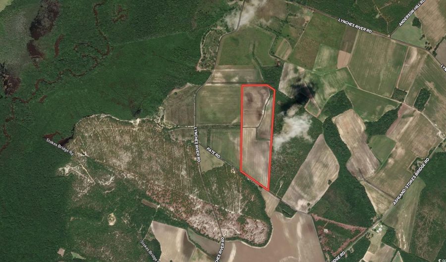 53 86 Acres-TBD Pate Rd, Bishopville, SC 29010 - 0 Beds, 0 Bath