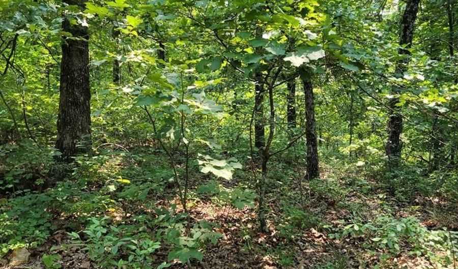 Sulphur Creek Rd off, Big Sandy, TN 38221 - 0 Beds, 0 Bath