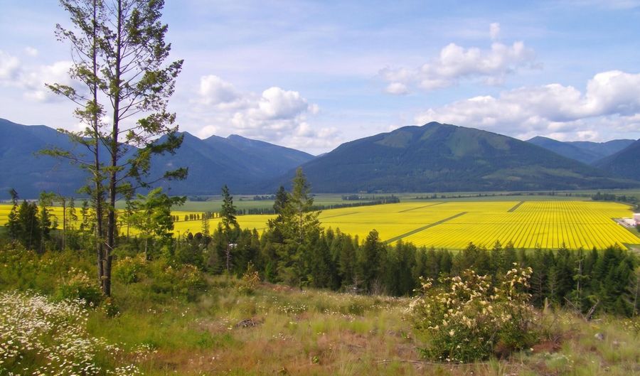 260 LCDR Fred Eskew Ln, Bonners Ferry, ID 83805 - 0 Beds, 0 Bath