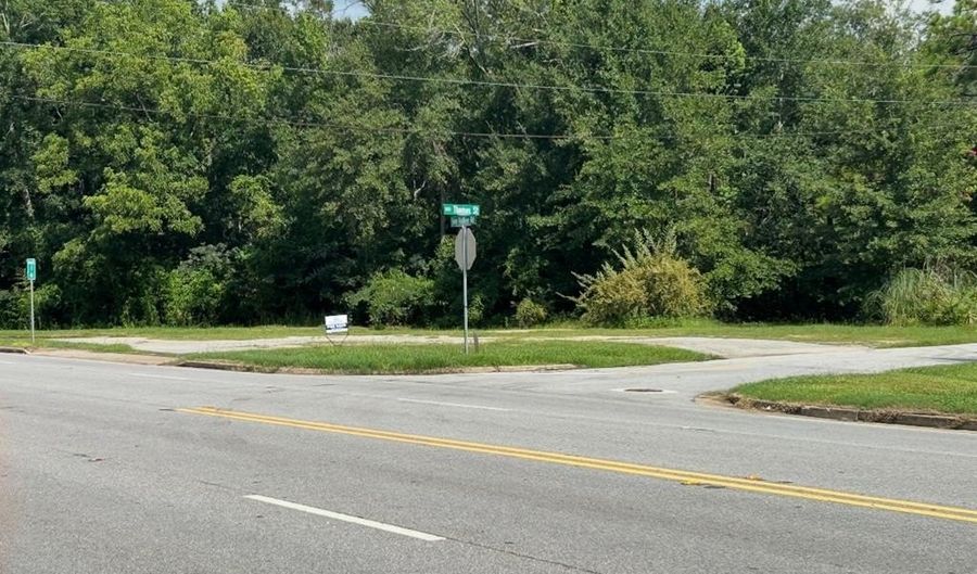 1602 Dothan Rd, Bainbridge, GA 39817 - 0 Beds, 0 Bath