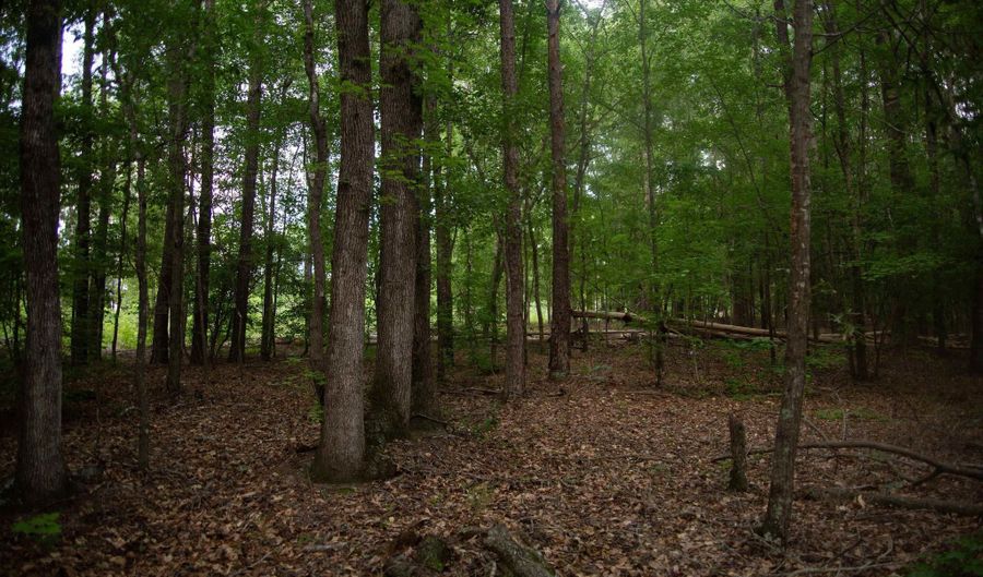 105 Dunwoody Pl, Blythewood, SC 29016 - 0 Beds, 0 Bath