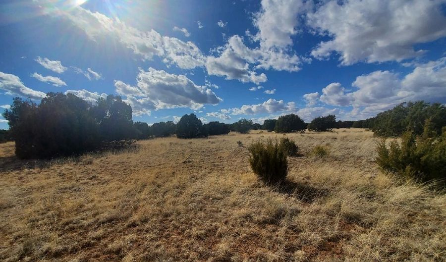 CR 5120, Concho, AZ 85924 - 0 Beds, 0 Bath