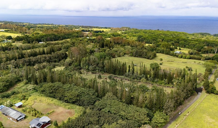 29-3707 KANNA Rd, Hakalau, HI 96710 - 2 Beds, 2 Bath