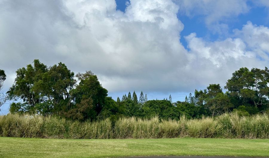 54-3703 LEHUULA Cir, Kapaau, HI 96755 - 0 Beds, 0 Bath