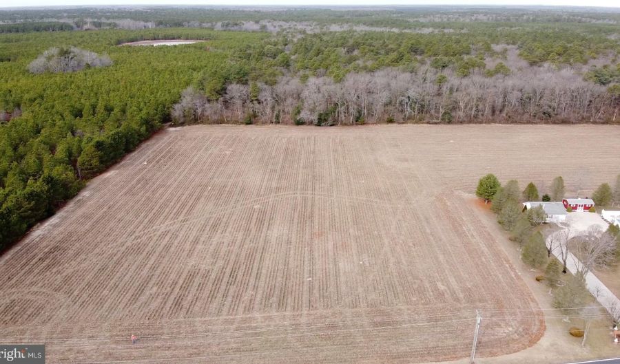 21063 WILSON Rd, Georgetown, DE 19947 - 0 Beds, 0 Bath