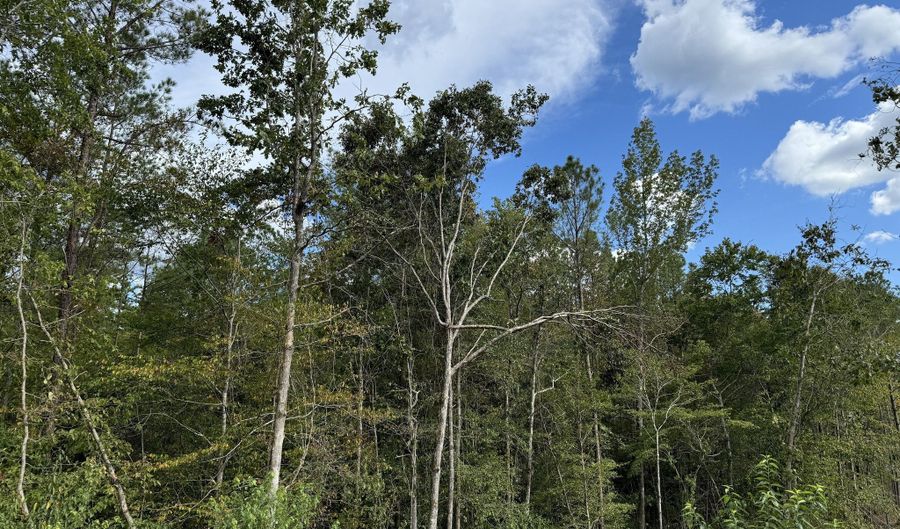 08 Adams Rd, Bankston, AL 35542 - 0 Beds, 0 Bath