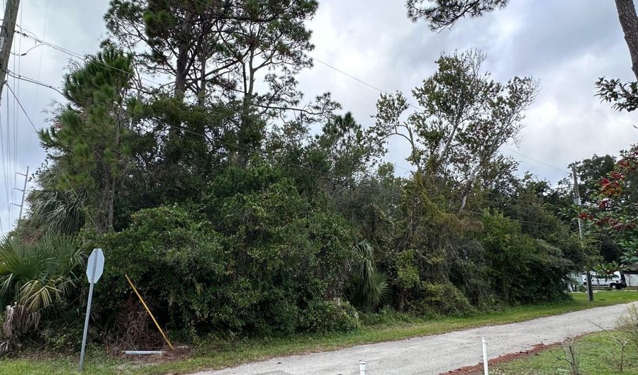 W DUTTON ISLAND Road, Atlantic Beach, FL 32233 - 0 Beds, 0 Bath