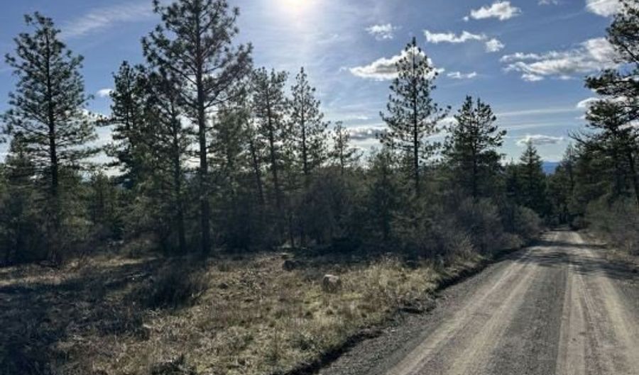 Badger Lane, Bonanza, OR 97623 - 0 Beds, 0 Bath