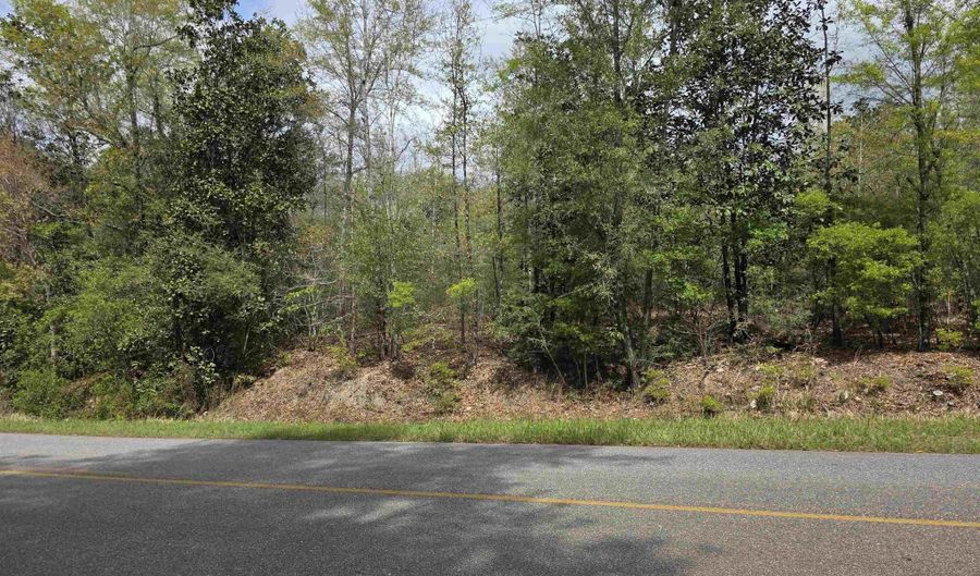 12185 Red Hill Rd Ext, Bay Minette, AL 36507 - 0 Beds, 0 Bath