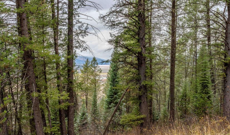 Lot 24 TRAIL RIDGE Road, Alpine, WY 83128 - 0 Beds, 0 Bath