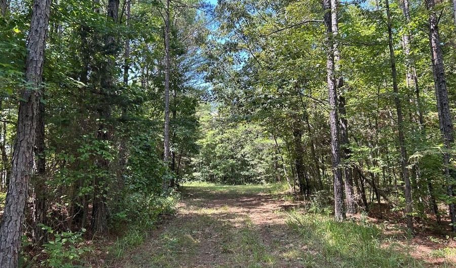 Pleasant Hill Road, Ashland, MS 38603 - 0 Beds, 0 Bath