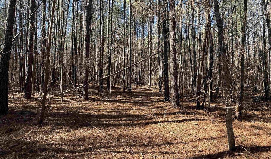 25 Acres +/- Oak Grove Rd, Attalla, AL 35954 - 0 Beds, 0 Bath