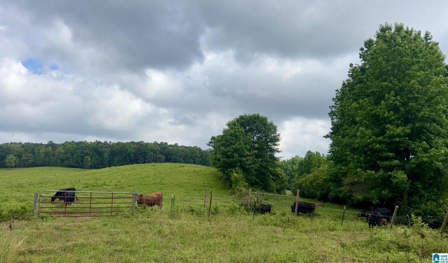 988 MINES Rd 100, Ashland, AL 36251 - 0 Beds, 0 Bath