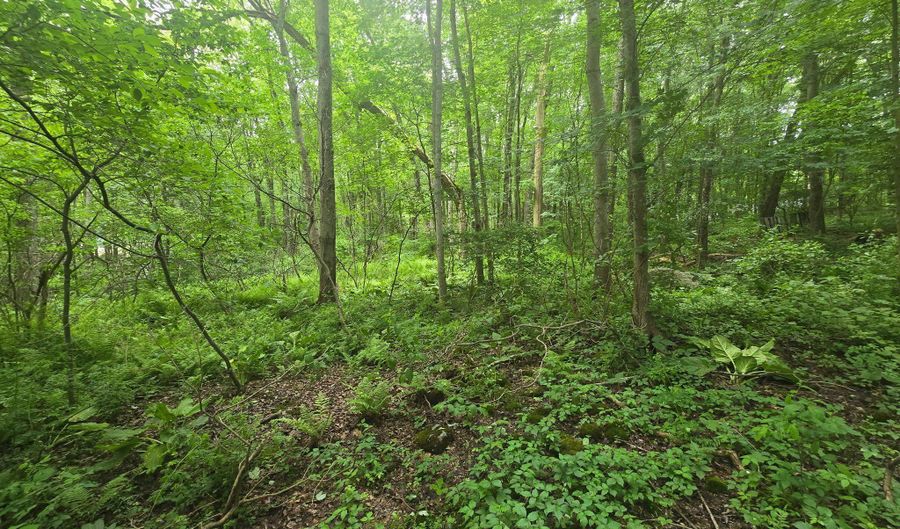 Boston Hill Road, Andover, CT 06232 - 0 Beds, 0 Bath