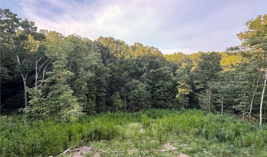 52 Morvan Dr, Bella Vista, AR 72715 - 4 Beds, 3 Bath