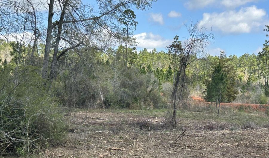 Tbd FL-4, Baker, FL 32531 - 0 Beds, 0 Bath