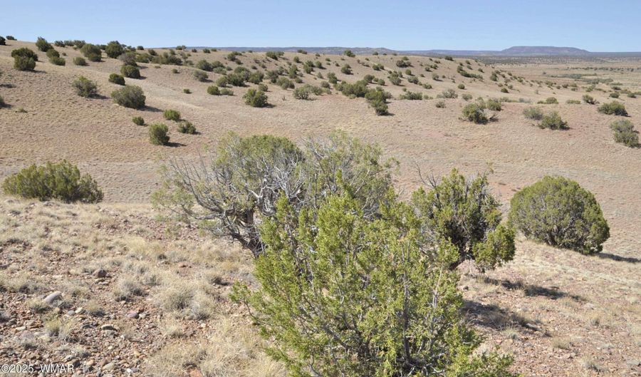 14 CR 5525, Concho, AZ 85924 - 0 Beds, 0 Bath