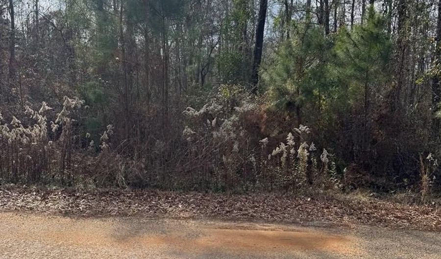 Singer Ln, Abbeville, AL 36310 - 0 Beds, 0 Bath