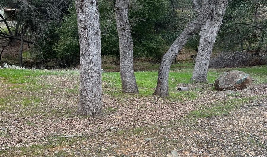 733 Grinding Rock, Angels Camp, CA 95222 - 0 Beds, 0 Bath