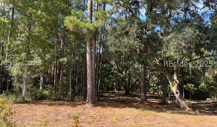 152 Vinson Rd, Bluffton, SC 29910 - 0 Beds, 0 Bath