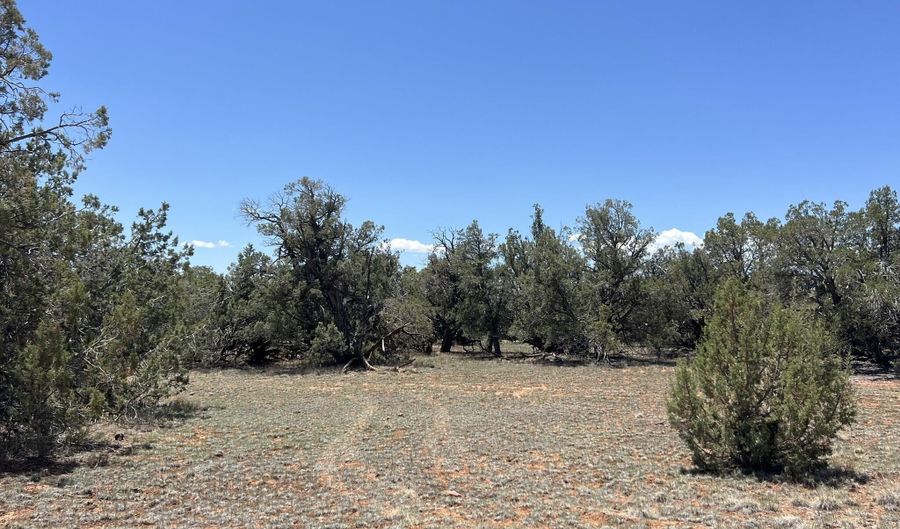 61 Norma Nw4 Rd, Ash Fork, AZ 86320 - 0 Beds, 0 Bath