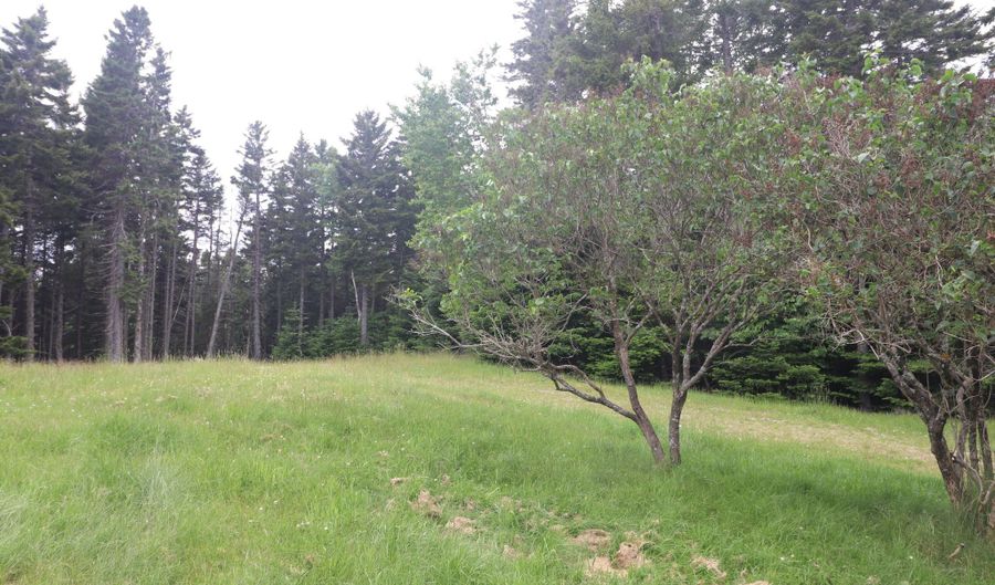 55 Black Duck Cove Rd, Beals, ME 04611 - 4 Beds, 0 Bath