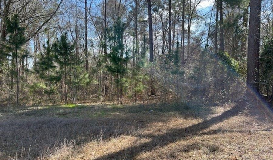 580 Main St W, Abbeville, GA 31001 - 0 Beds, 0 Bath