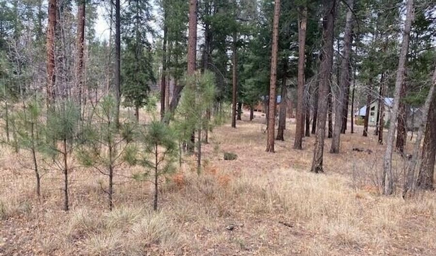 000 COUNTY ROAD 2196 LOT 74 AFE, Alpine, AZ 85920 - 0 Beds, 0 Bath