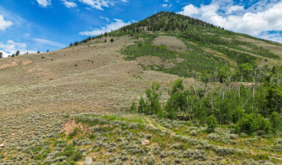 Round Mountain Road, Almont, CO 81210 - 0 Beds, 0 Bath