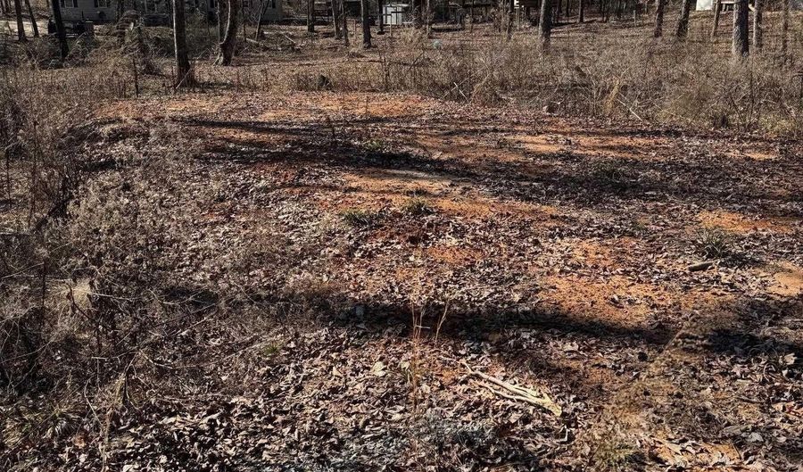 Lot 1 Mount Olive, Bauxite, AR 72011 - 0 Beds, 0 Bath