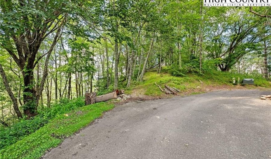 Lot 41 White Fox Lane, Banner Elk, NC 28604 - 0 Beds, 0 Bath