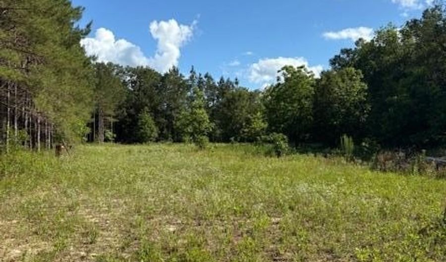 570 Bethany Church Rd, Bainbridge, GA 39817 - 0 Beds, 0 Bath