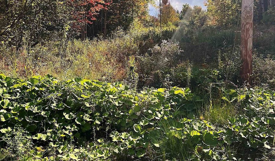 00 Duck Pond Rd, Barton, VT 05822 - 0 Beds, 0 Bath