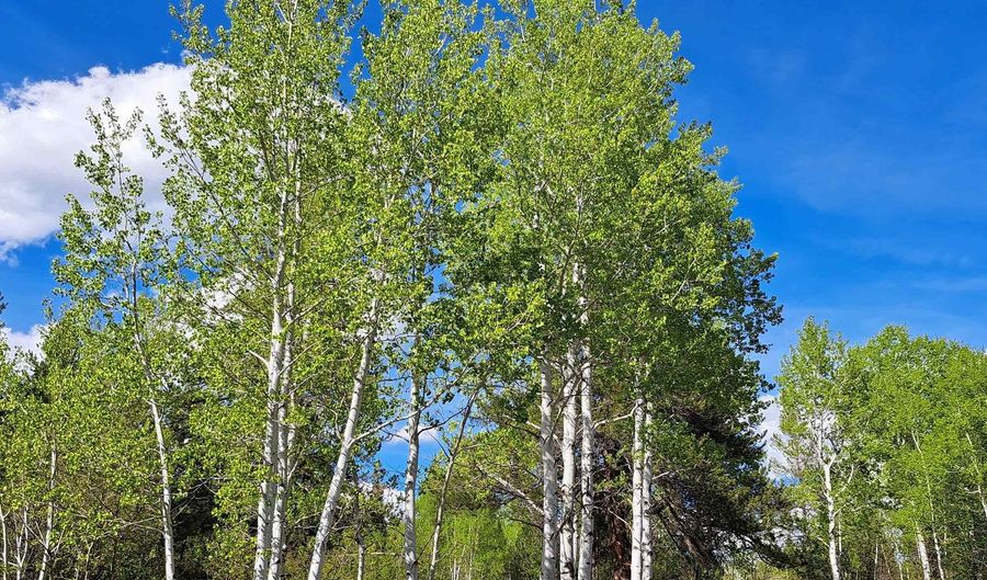 4376 Granite Rdg, Ashton, ID 83420 - 0 Beds, 0 Bath