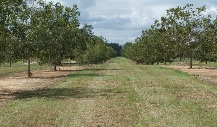 9953 Gravel Hl, Baconton, GA 31716 - 0 Beds, 0 Bath