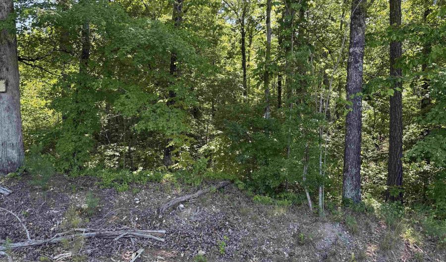 MURDOCK ROAD lot 0, Attalla, AL 35954 - 0 Beds, 0 Bath