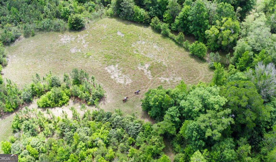 County Road 231, Abbeville, AL 36310 - 0 Beds, 0 Bath