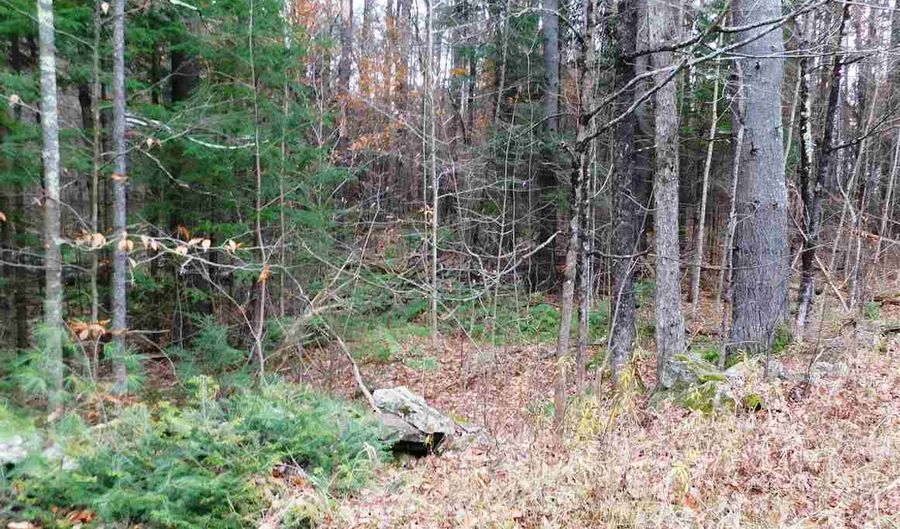 Lot 1 Middletown Road, Londonderry, VT 05148 - 0 Beds, 0 Bath