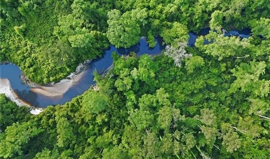 30062 HERMAN BANKSTON Rd Lot 0, Albany, LA 70711 - 0 Beds, 0 Bath