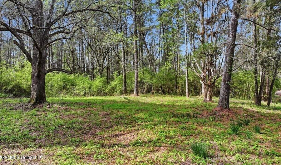 Harrisville Braxton Road, Braxton, MS 39044 - 0 Beds, 0 Bath
