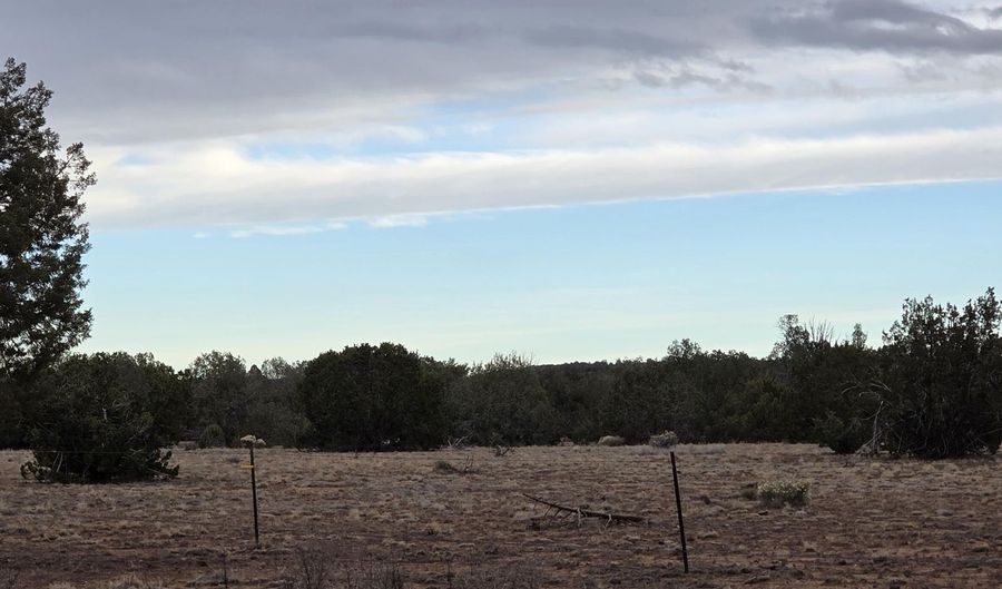 214 D Juniper Woods, Ash Fork, AZ 86320 - 0 Beds, 0 Bath